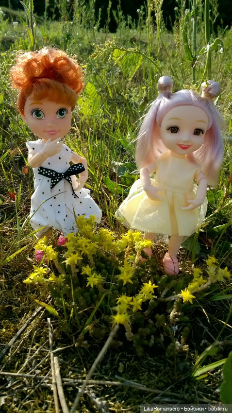 Поход на горный склон у рощи