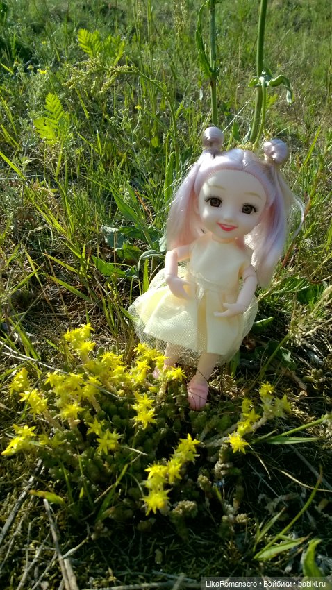 Поход на горный склон у рощи