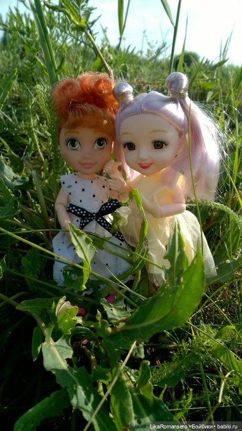 Поход на горный склон у рощи (фото 5)