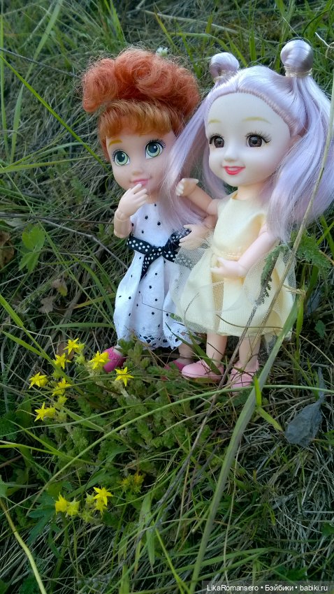 Поход на горный склон у рощи (фото 9)