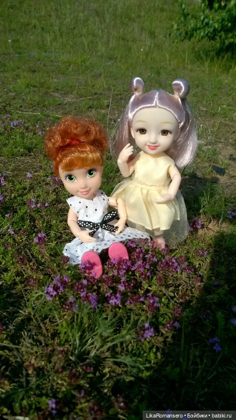 Поход на горный склон у рощи