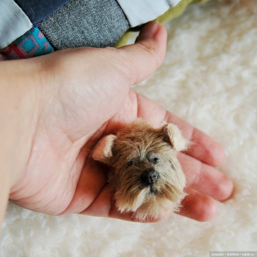 Ещё один серьёзный пёсик В процессе