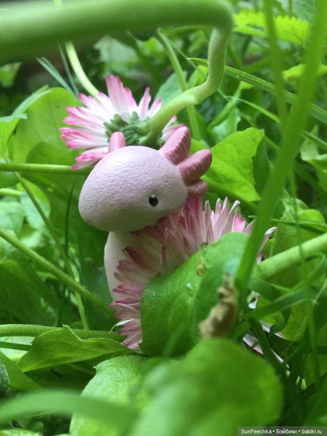 Кака в лете — Интересные игрушки и фигурки (разное): редкие (фото 6)