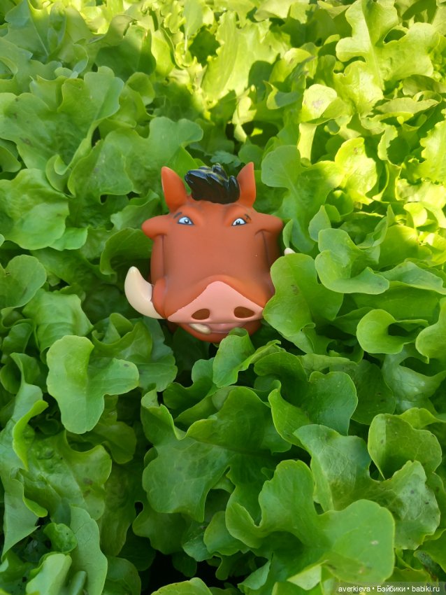 Пумбы — Интересные игрушки и фигурки (разное): редкие (фото 2)