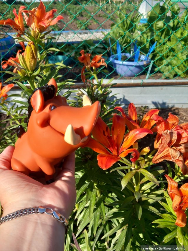 Пумбы — Интересные игрушки и фигурки (разное): редкие (фото 3)