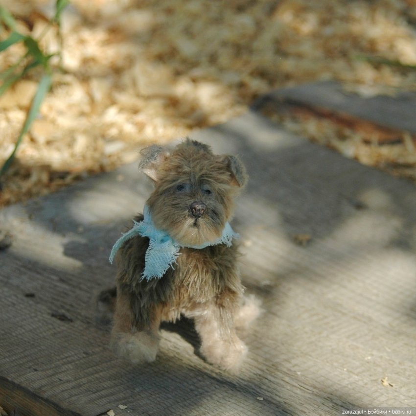 Доделала песика! Как назовём (фото 8)