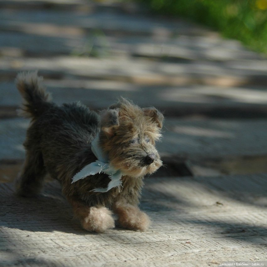 Доделала песика! Как назовём (фото 6)