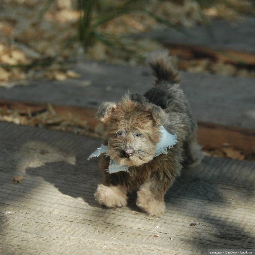 Доделала песика! Как назовём (фото 5)