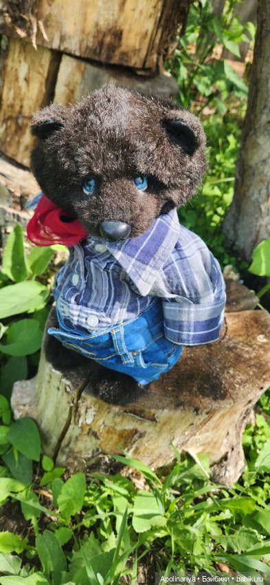 Tobias мишка-тедди — Авторские мишки Тедди и друзья: фото (фото 5)