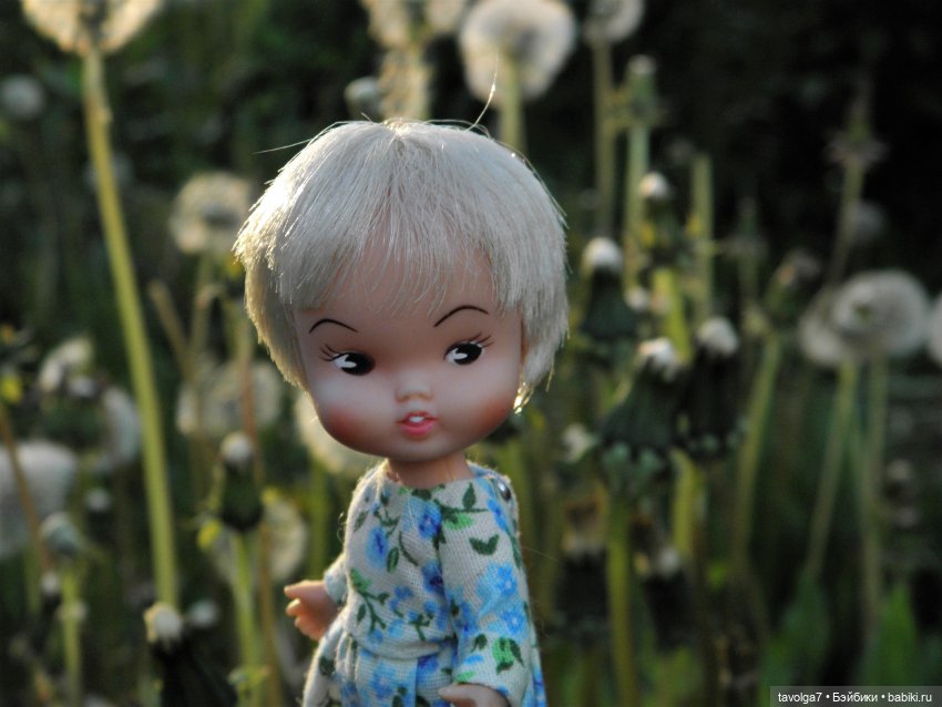 Heidi от Remco и Penny Brite