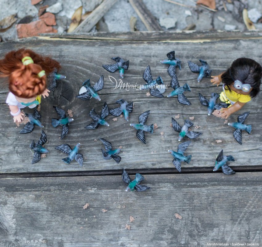 А вы любите Келли так, как люблю их я (фото 5)