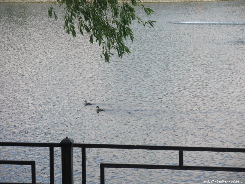 День Рождения Кристофера — Игровые куклы разных производителей (Разное): редкие бренды