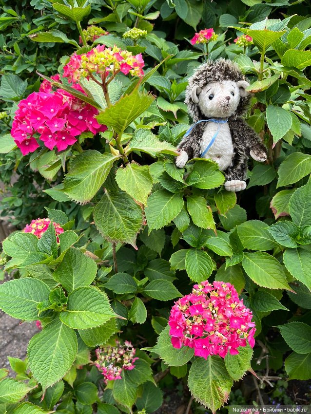 Fashion Dolls 517 — Туризм и путешествия: фотоотчеты из поездок