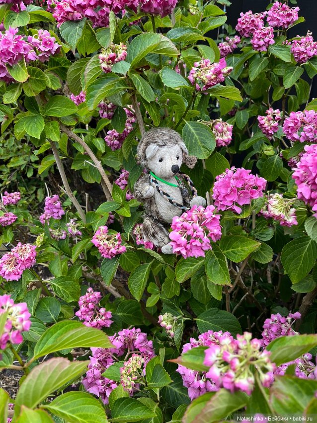 Fashion Dolls 517 — Туризм и путешествия: фотоотчеты из поездок