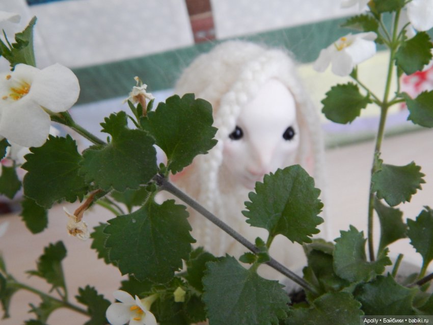 Туманница Эрин — Домашние фото авторских кукол: личные коллекции (фото 5)