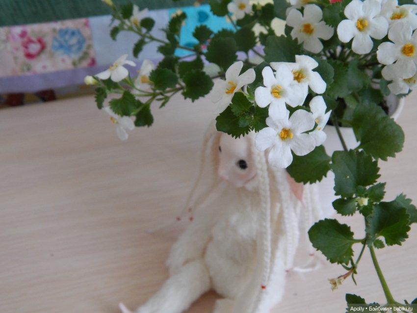 Туманница Эрин — Домашние фото авторских кукол: личные коллекции (фото 7)