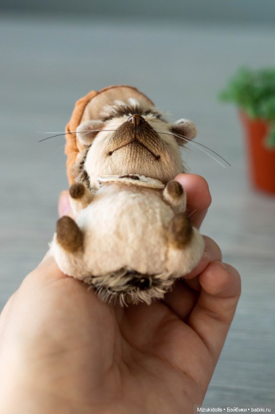 Грибные ёжики — Авторские мишки Тедди и друзья: фото (фото 5)