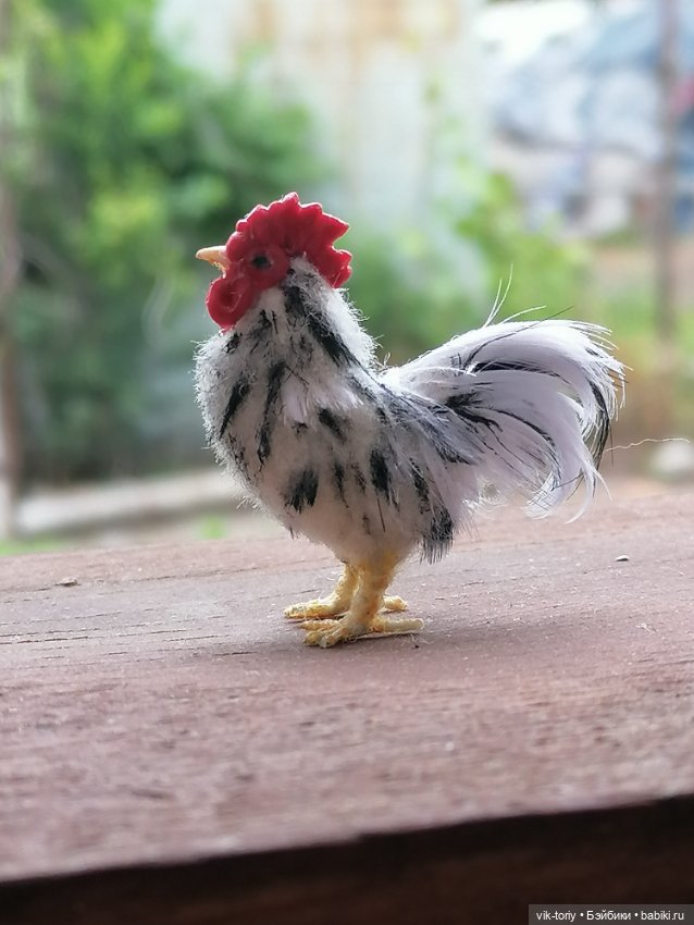 Птичий переполох Часть первая Куры (фото 7)