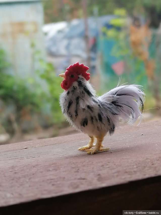 Птичий переполох Часть первая Куры (фото 8)