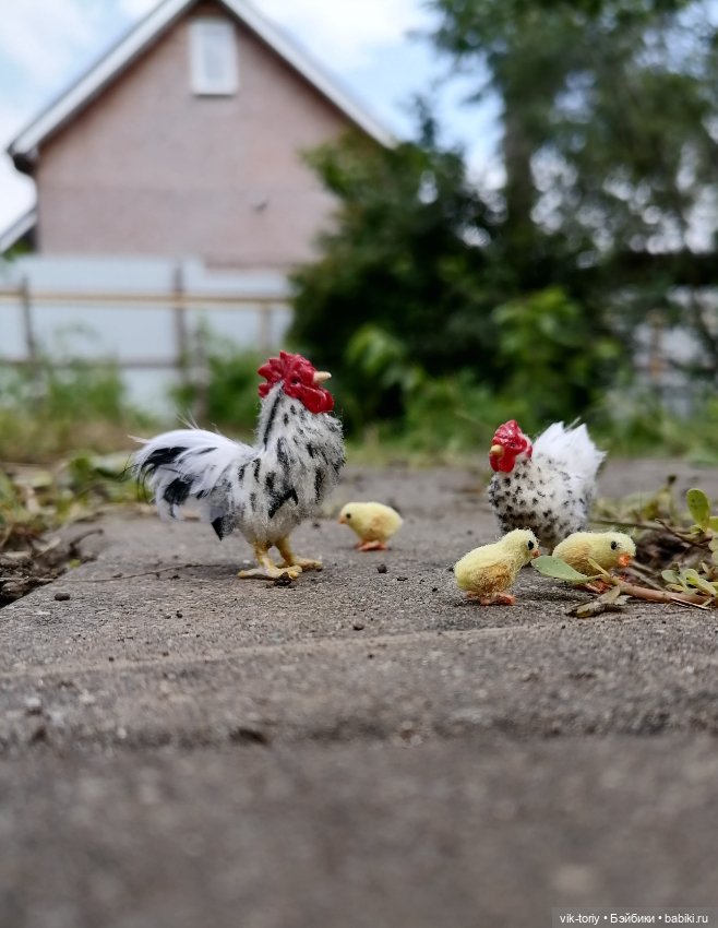 Птичий переполох Часть первая Куры