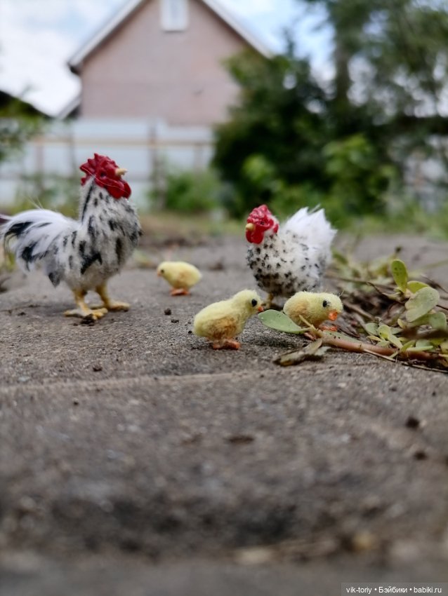 Птичий переполох Часть первая Куры