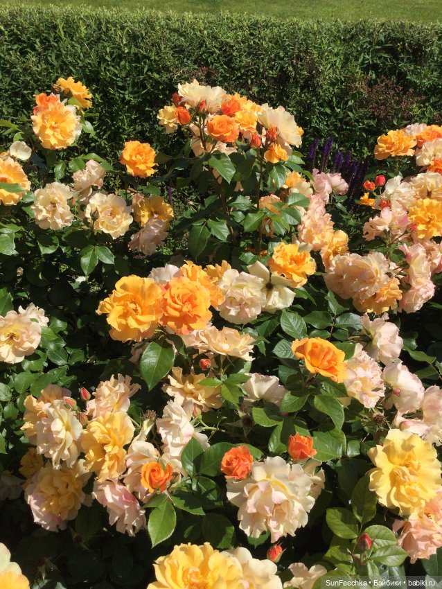 Какин art 🌈 — Куклы с Алиэкспресс (Aliexpress): Китайские шарнирные