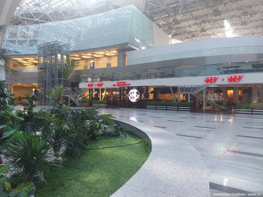 Музыкальная история или все в шоколаде 8