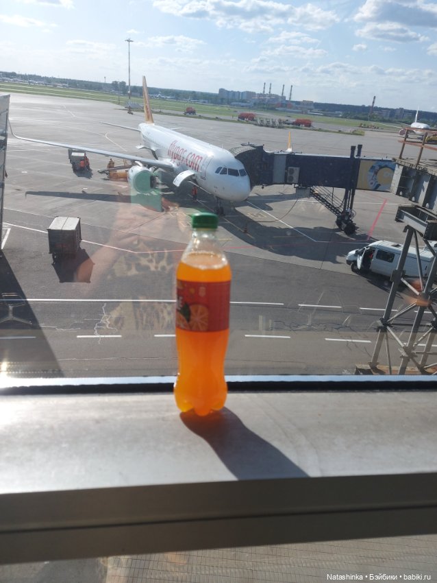 Музыкальная история или все в шоколаде 8