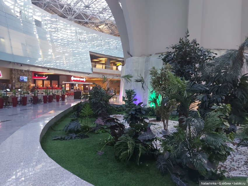 Музыкальная история или все в шоколаде 8