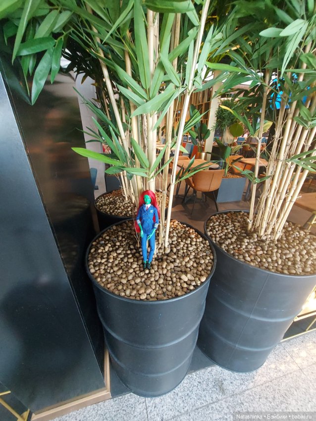 Музыкальная история или все в шоколаде 8 (фото 5)