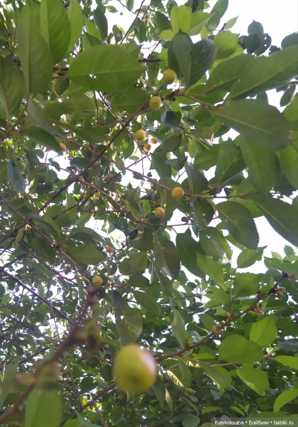 Краски лета — Игровые мини