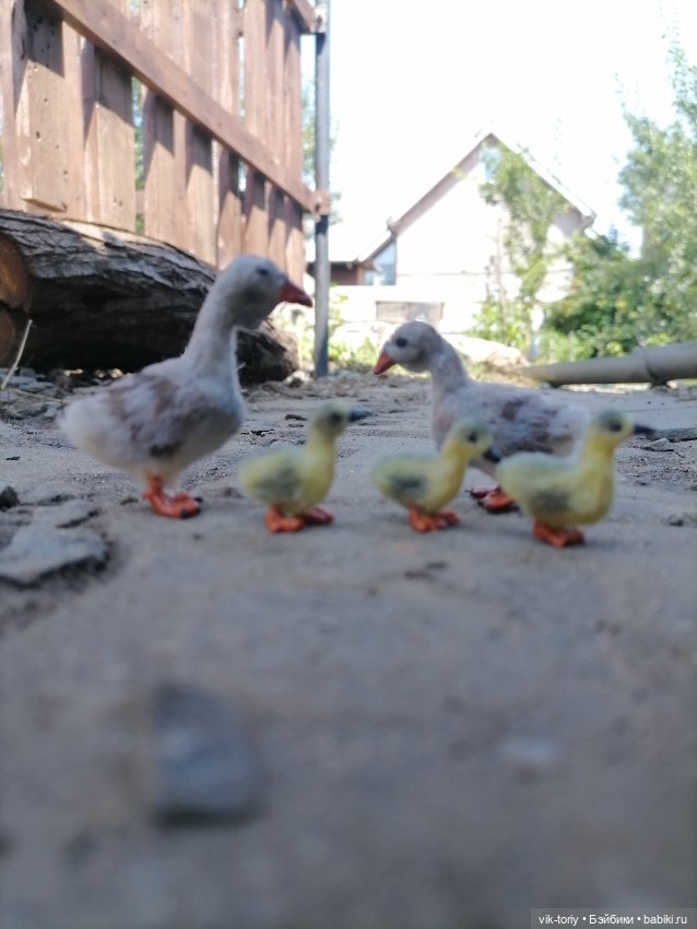 Птичий переполох Часть вторая Гуси (фото 2)