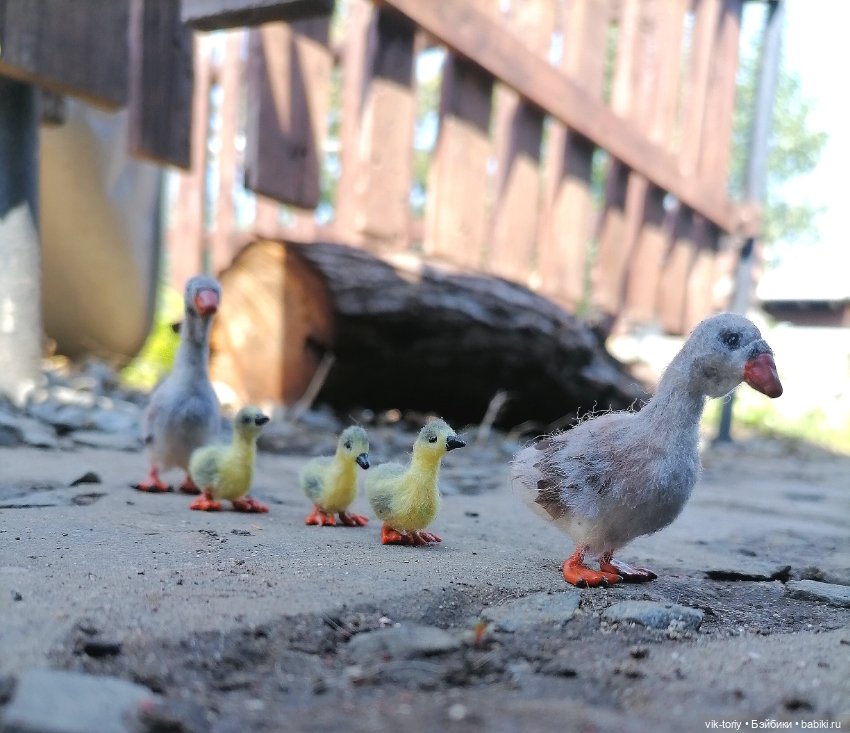 Птичий переполох Часть вторая Гуси (фото 9)