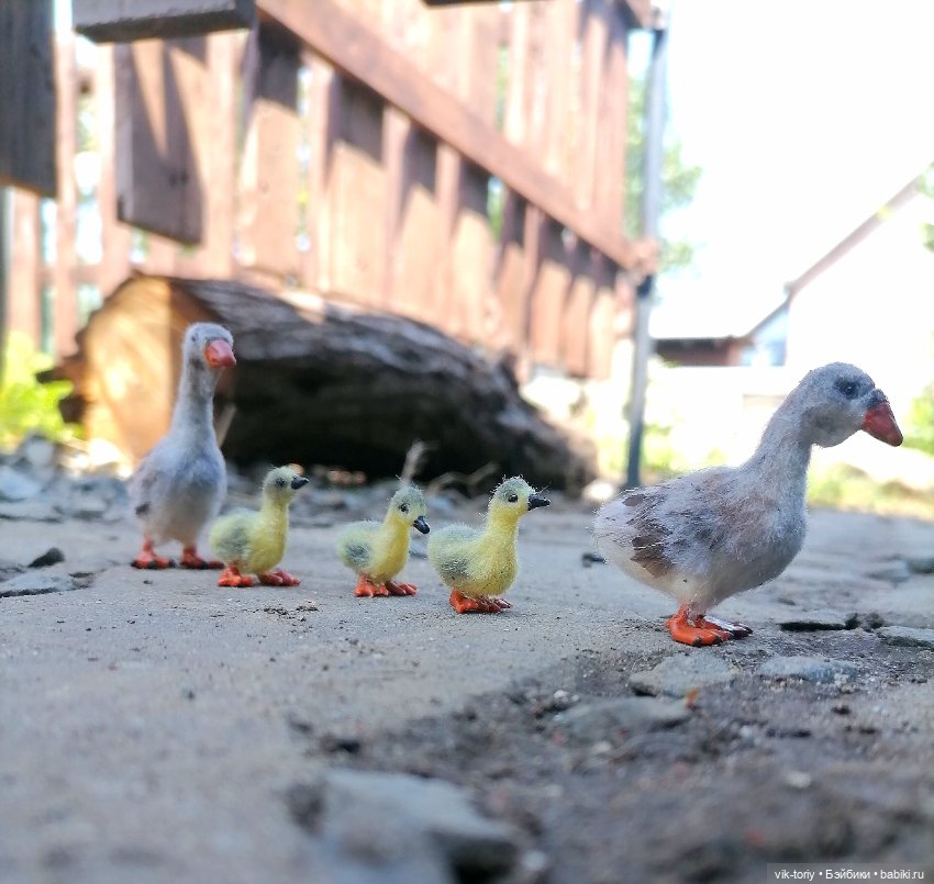 Птичий переполох Часть вторая Гуси (фото 10)