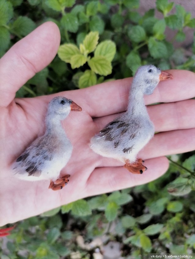 Птичий переполох Часть вторая Гуси (фото 5)