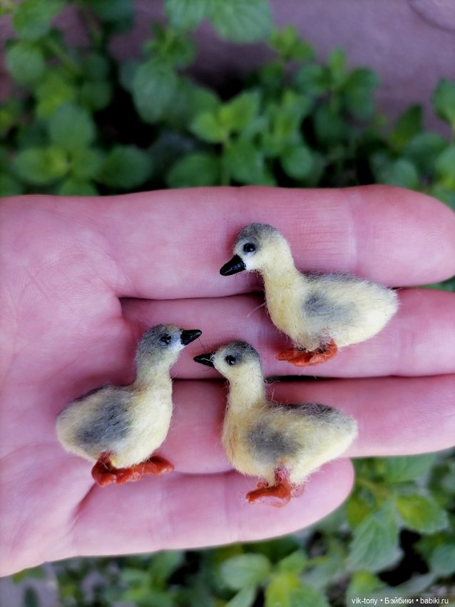 Птичий переполох Часть вторая Гуси (фото 6)