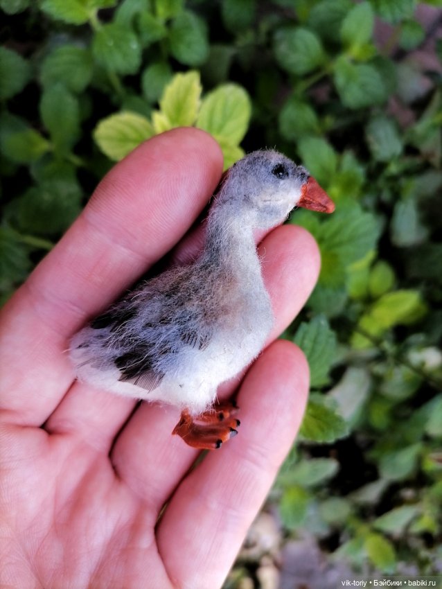 Птичий переполох Часть вторая Гуси (фото 4)