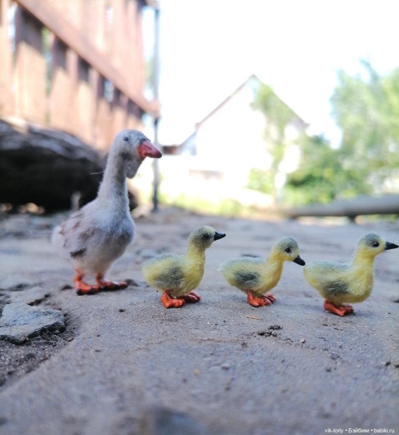 Птичий переполох Часть вторая Гуси (фото 8)