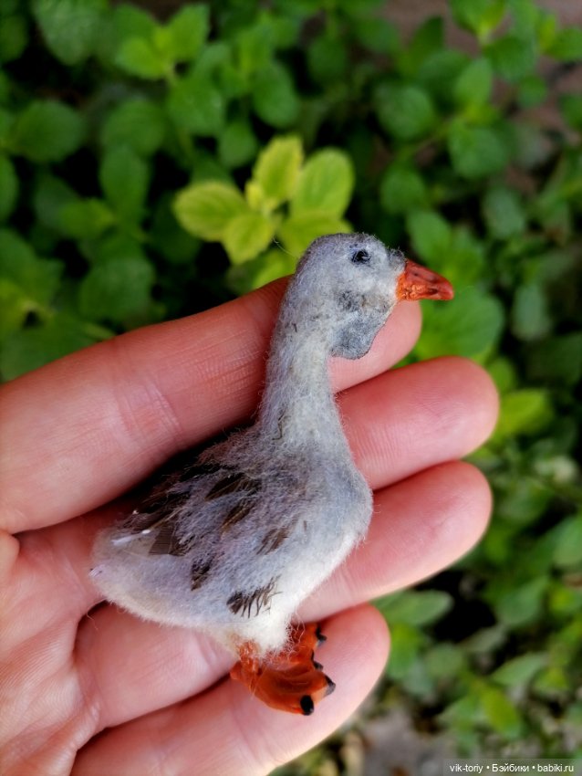 Птичий переполох Часть вторая Гуси (фото 3)