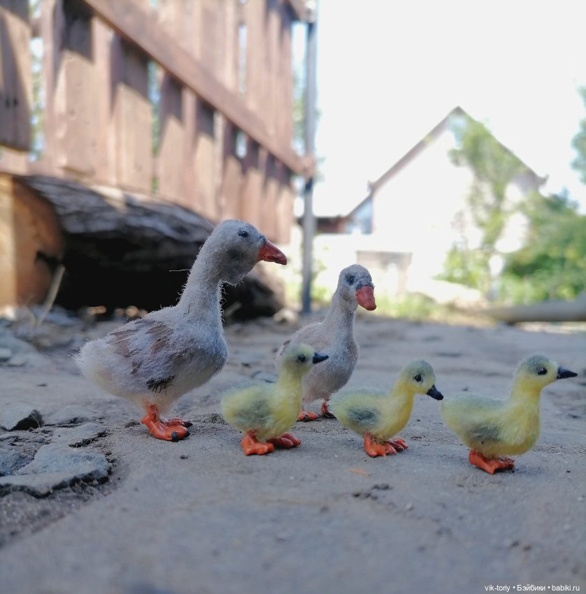 Птичий переполох Часть вторая Гуси (фото 7)