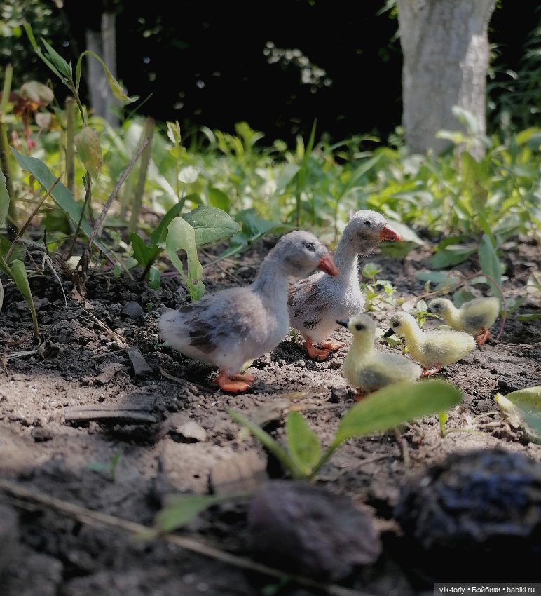 Птичий переполох Часть вторая Гуси
