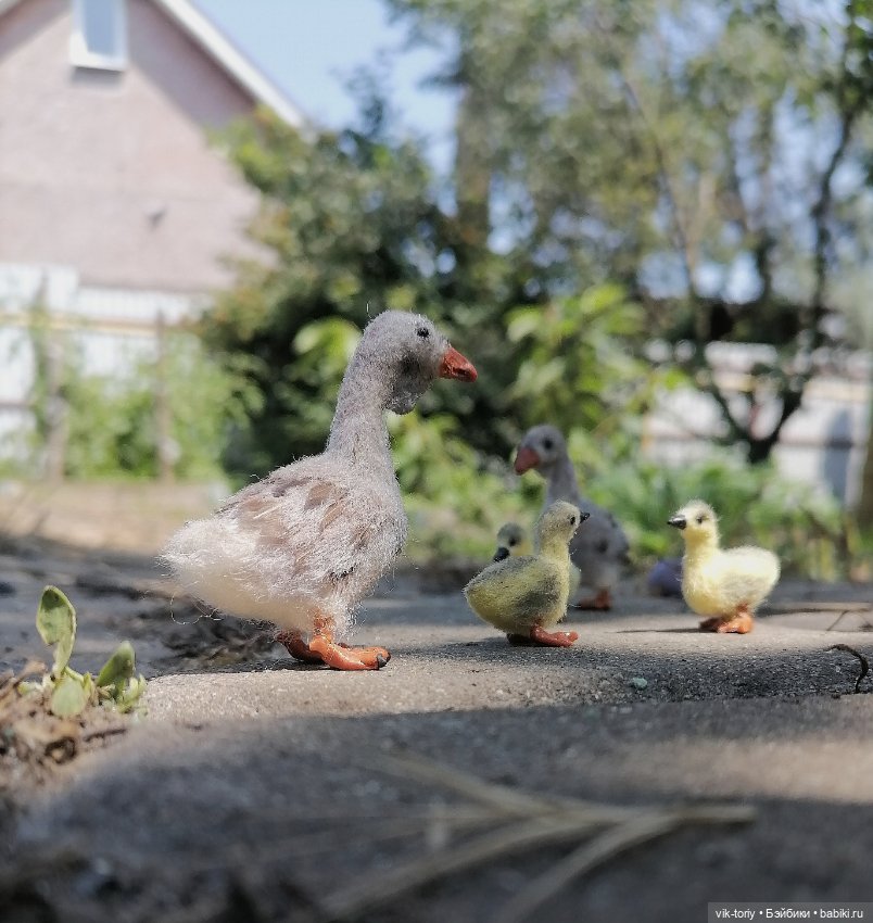 Птичий переполох Часть вторая Гуси