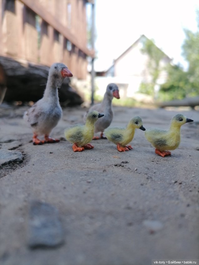 Птичий переполох Часть вторая Гуси