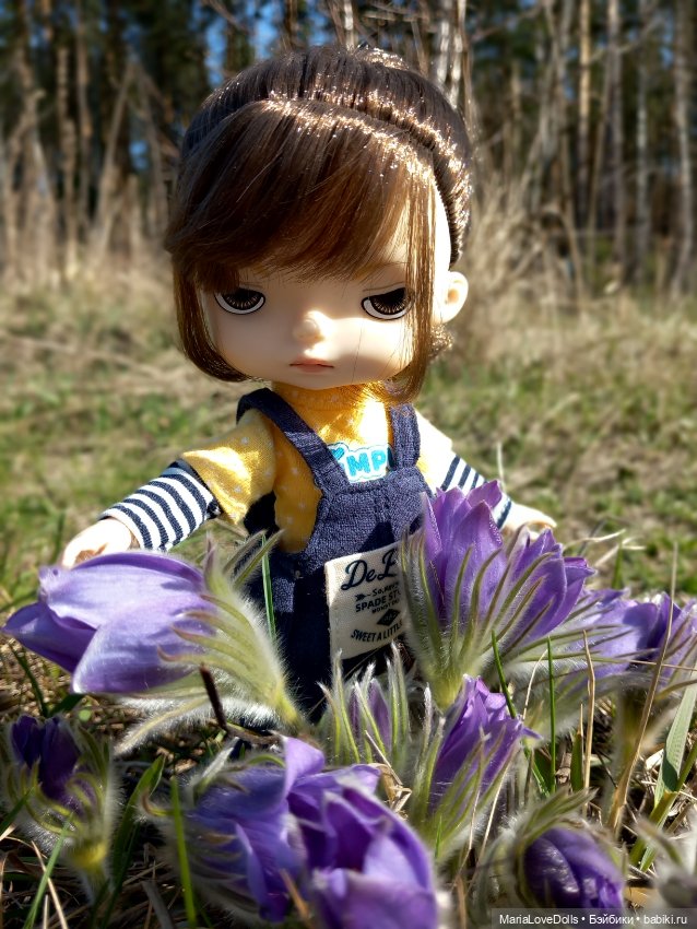 Новенькие ❤️ ❤️ ❤️ — Куклы с Алиэкспресс (Aliexpress): Китайские шарнирные