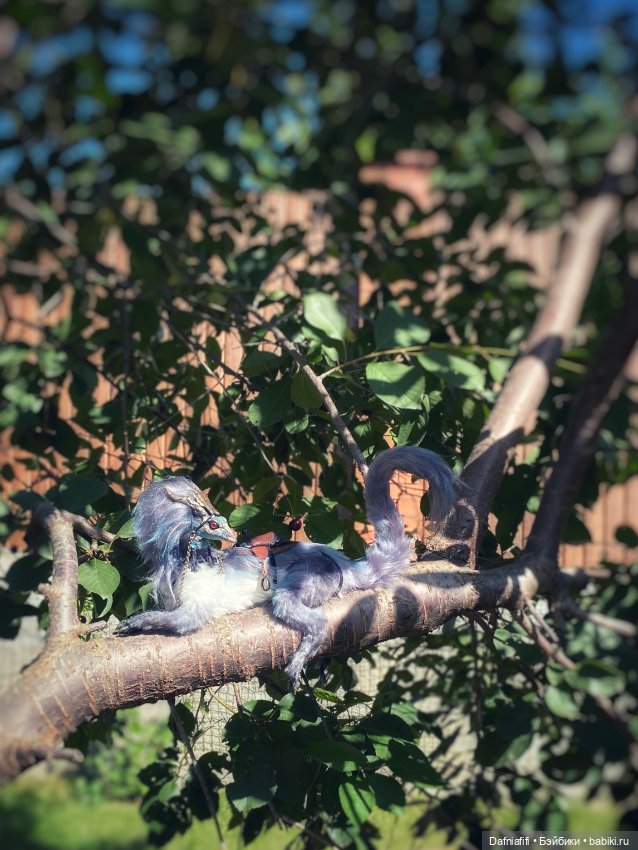 Котик — Домашние фото авторских игрушек: Тедди