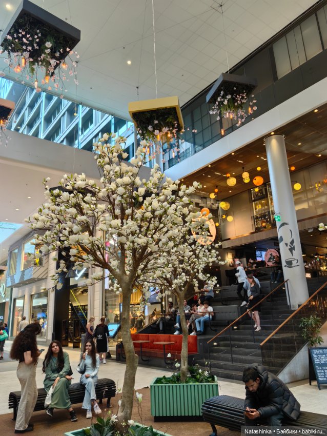 Музыкальная история или все в шоколаде 9