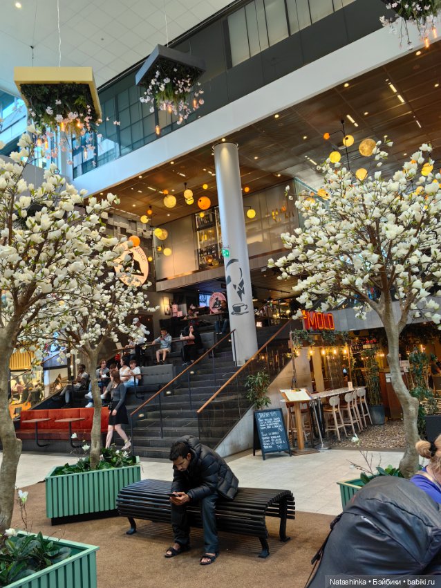 Музыкальная история или все в шоколаде 9