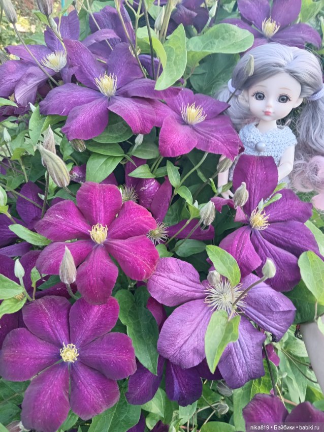 Какова красота — Разные шарнирные куклы (не БЖД): редкие (фото 8)