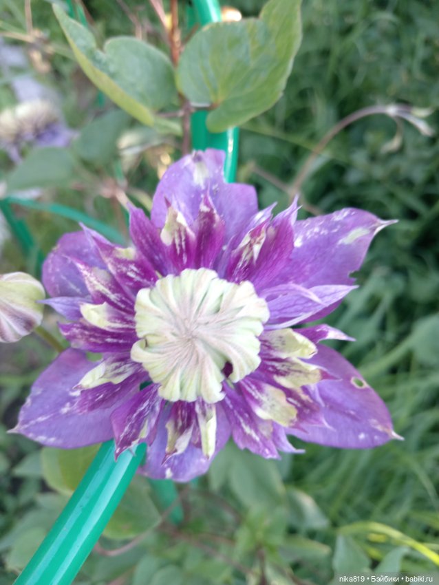 Какова красота — Разные шарнирные куклы (не БЖД): редкие