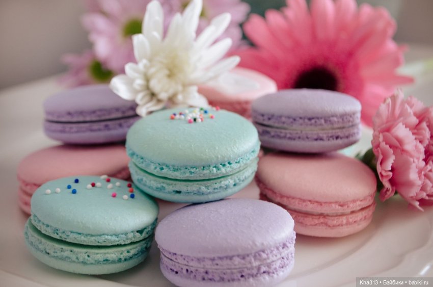 Flashmob: Шоколад и Макаронсы